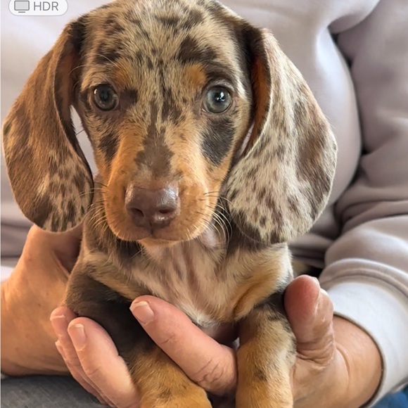 Hi Friend, I’m Christeena - Picture 1 of 16